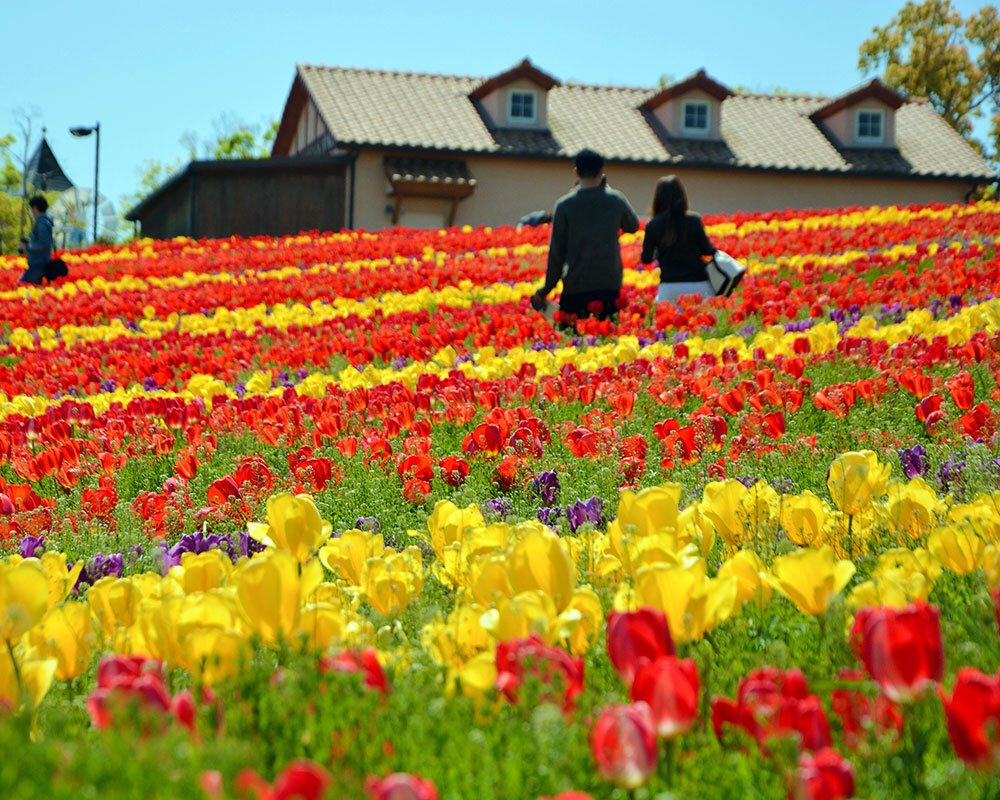 🌳 사카이 녹색 박물관(하베스트노오카) 이미지 1